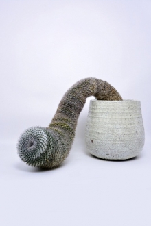 카게키요