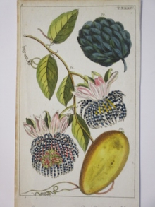 J.Jeffery’sPrintGallery