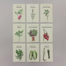SEED STORE