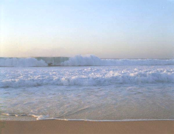 혼마 타카시 사진전 Takashi Homma Exhibition NEW WAVES