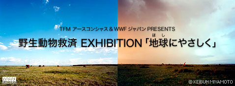 야생 동물 구제 EXHIBITION 「지구에 부드럽게」