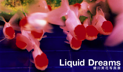 니나가와 미카 사진전 “Liquid Dreams”