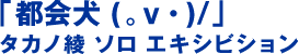 도시 개 (.v·)/"타카노 아야 솔로 엑시비전