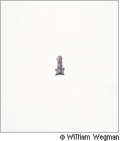 윌리엄 웨그먼의 애견 호일 William Wegman Photo Exhibition