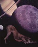 윌리엄 웨그먼의 애견 호일 William Wegman Photo Exhibition