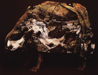 윌리엄 웨그먼의 애견 호일 William Wegman Photo Exhibition