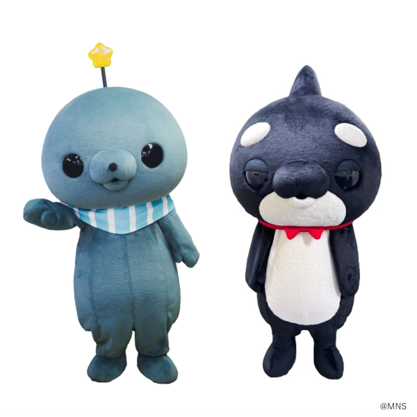 촬영회 참가 쪽으로(사전 티켓제)